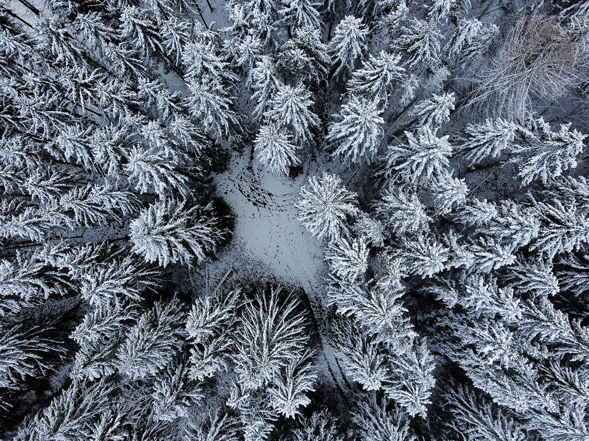 DrohnenfotografieDrohnenaufnahmen Wald im Winter
